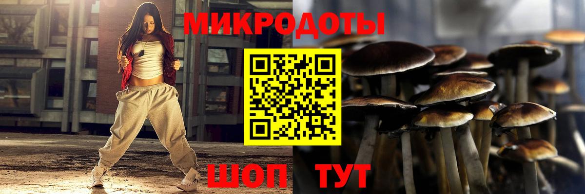 Псилоцибиновые грибы MAGIC MUSHROOMS  Вход с VPN  Анапа 